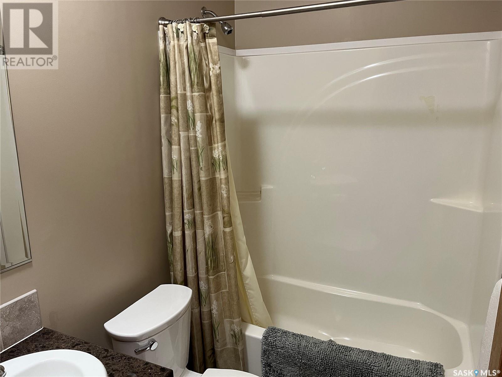 24 Hall Street, Halbrite, Saskatchewan  S0C 1H0 - Photo 19 - SK007335