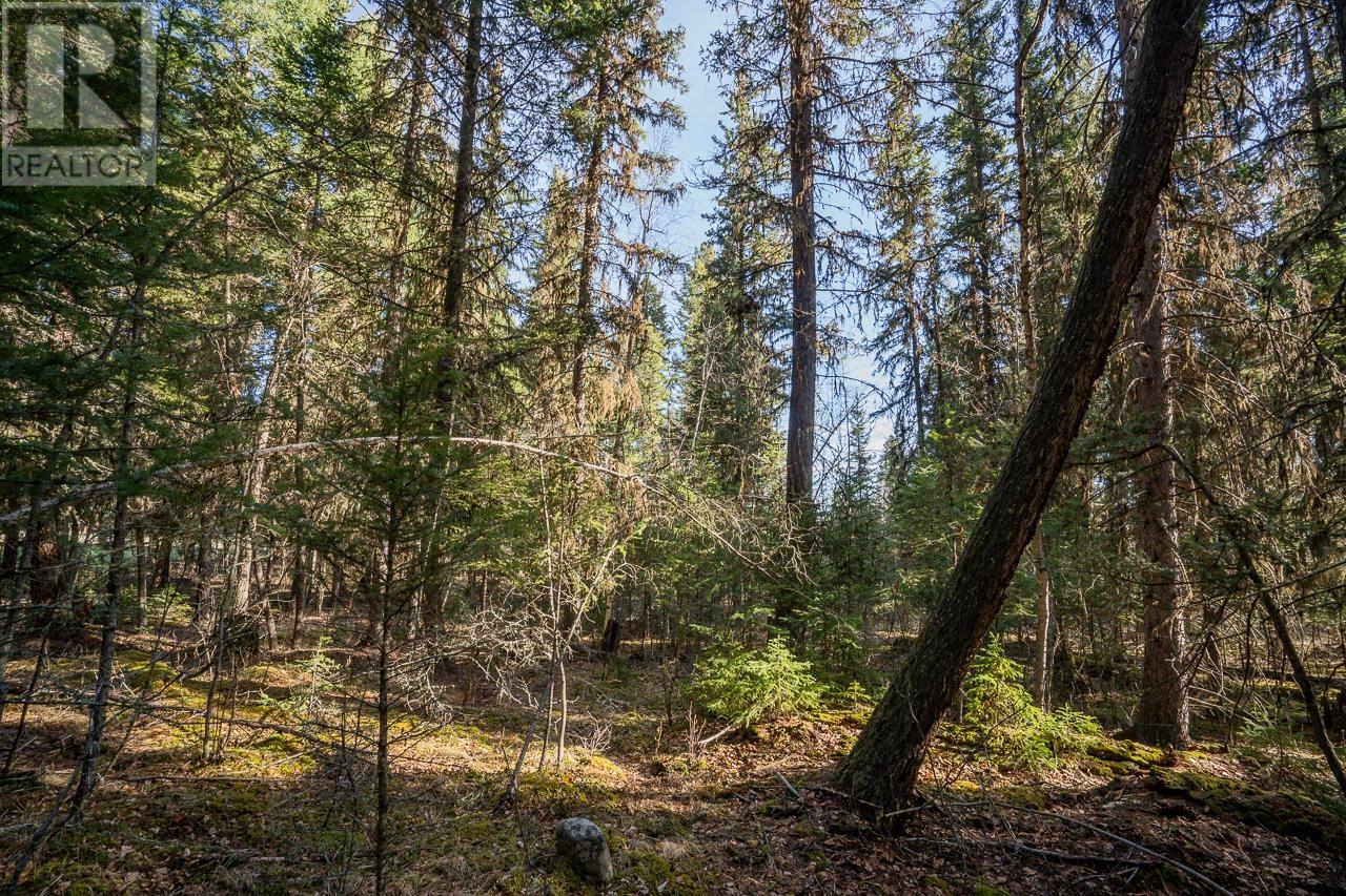Lot 1 Thompson Road, 108 Mile Ranch, British Columbia  V0K 2Z0 - Photo 10 - R3011999