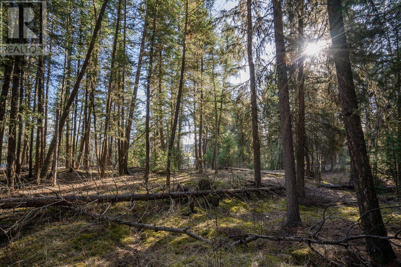 Lot 1 Thompson Road, 108 Mile Ranch, British Columbia  V0K 2Z0 - Photo 11 - R3011999