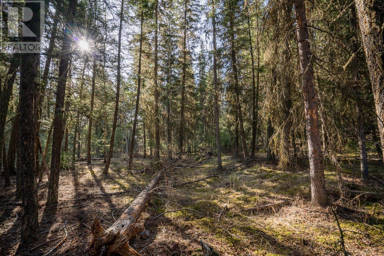 Lot 1 Thompson Road, 108 Mile Ranch, British Columbia  V0K 2Z0 - Photo 12 - R3011999