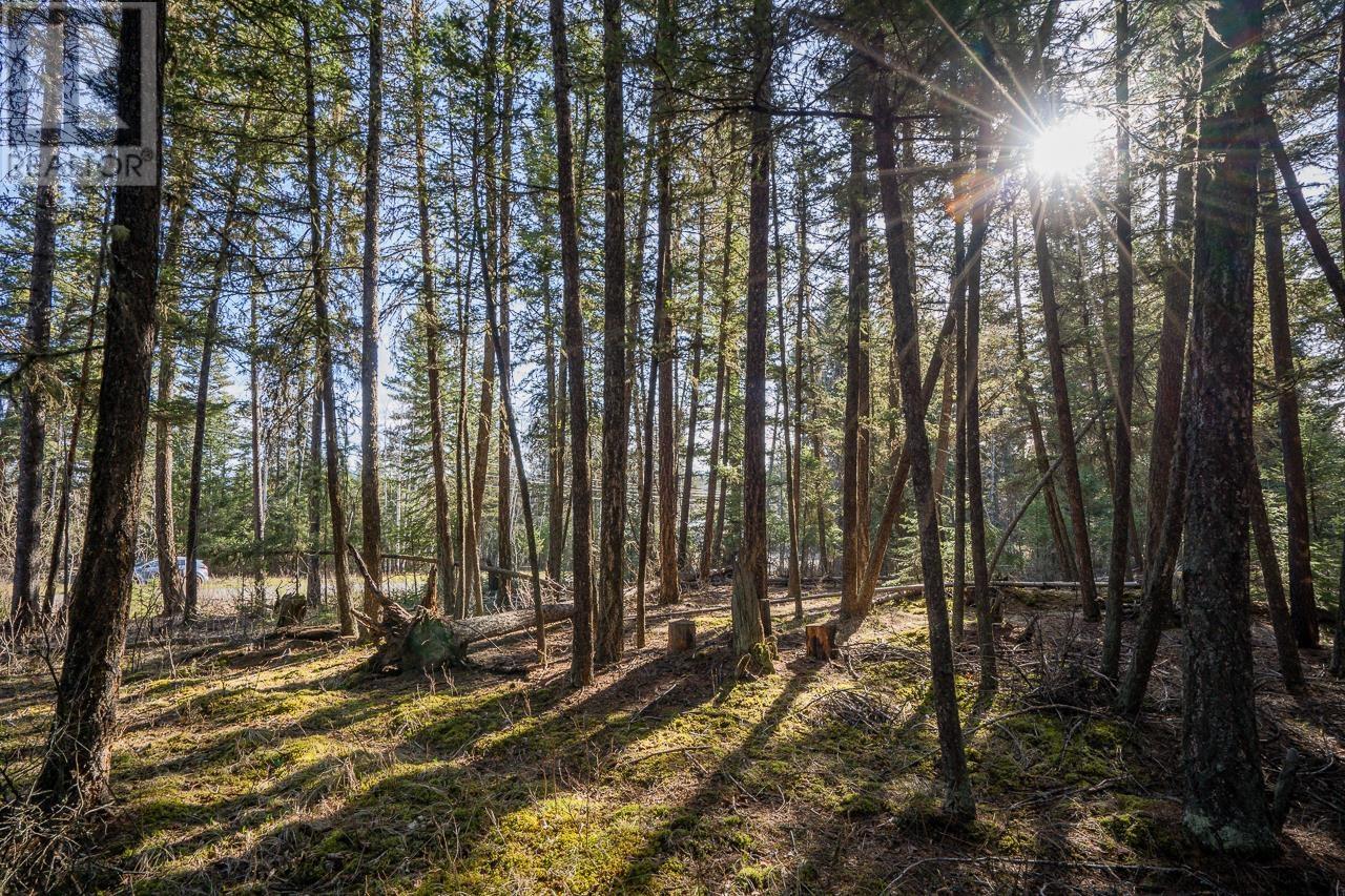Lot 1 Thompson Road, 108 Mile Ranch, British Columbia  V0K 2Z0 - Photo 13 - R3011999