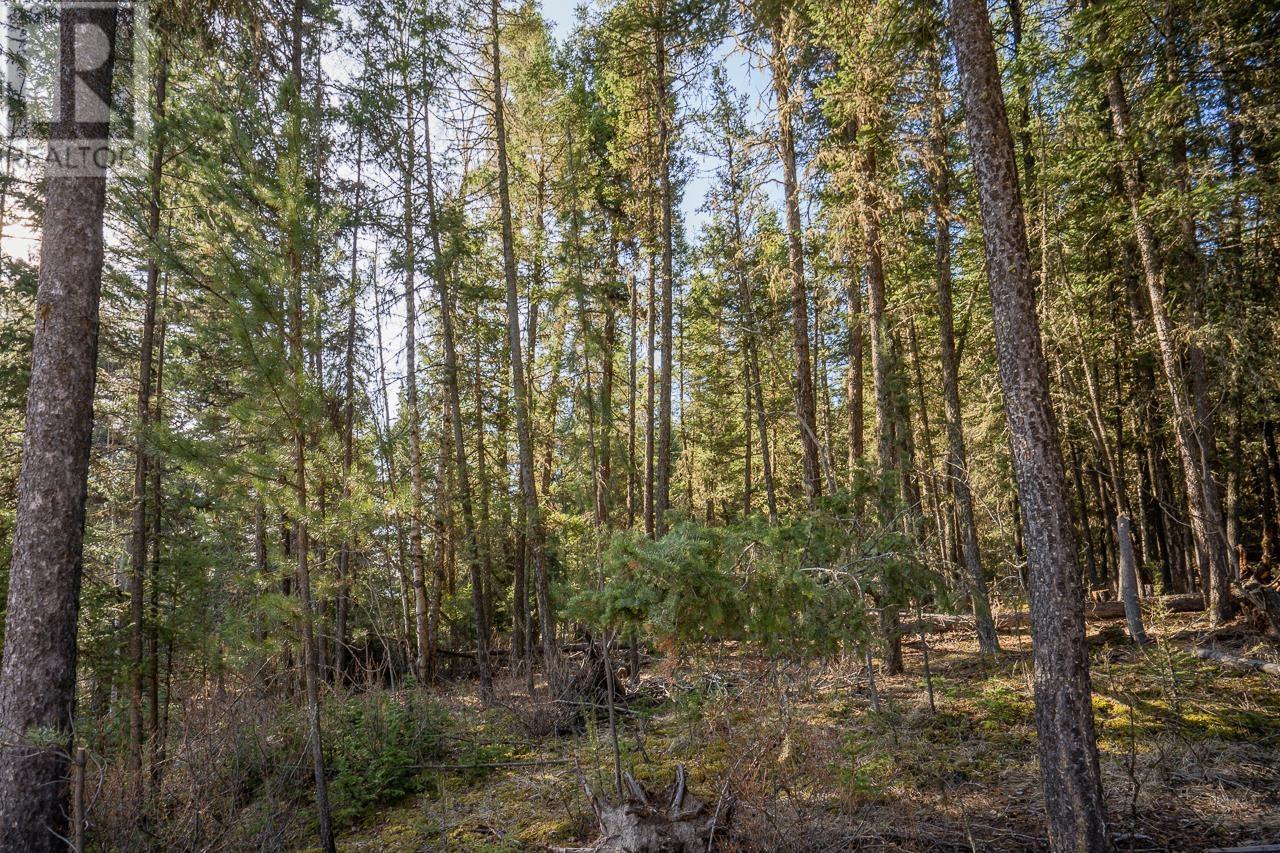 Lot 1 Thompson Road, 108 Mile Ranch, British Columbia  V0K 2Z0 - Photo 14 - R3011999