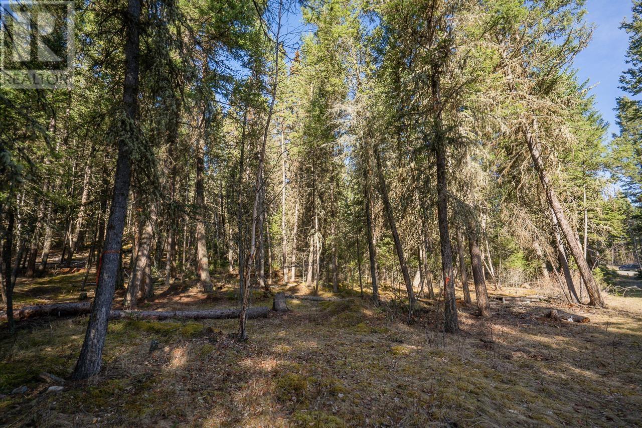 Lot 1 Thompson Road, 108 Mile Ranch, British Columbia  V0K 2Z0 - Photo 15 - R3011999