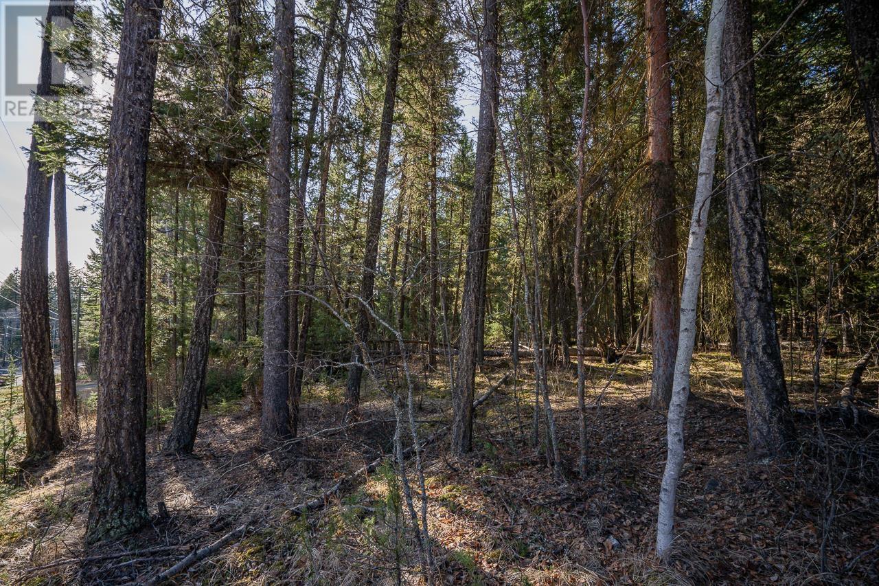 Lot 1 Thompson Road, 108 Mile Ranch, British Columbia  V0K 2Z0 - Photo 5 - R3011999