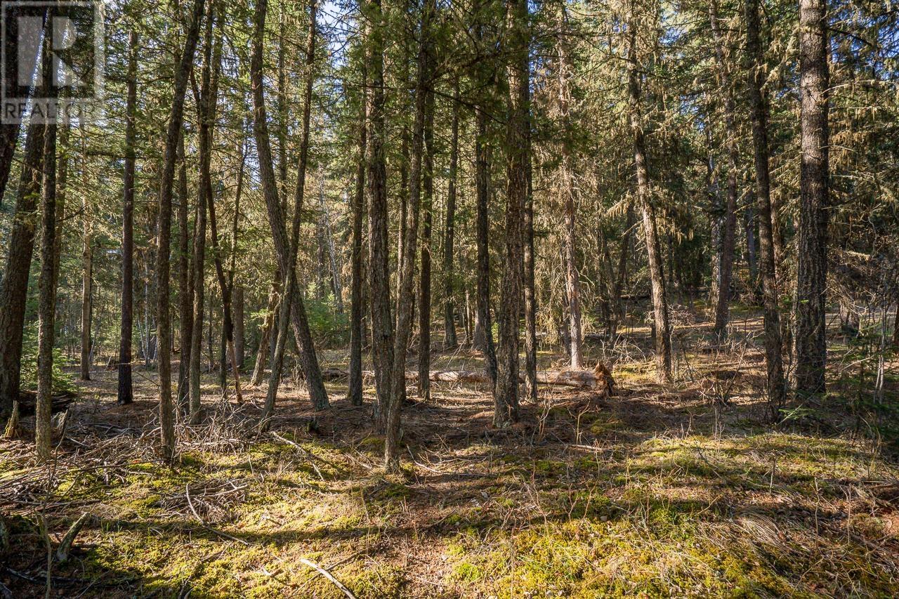 Lot 1 Thompson Road, 108 Mile Ranch, British Columbia  V0K 2Z0 - Photo 6 - R3011999