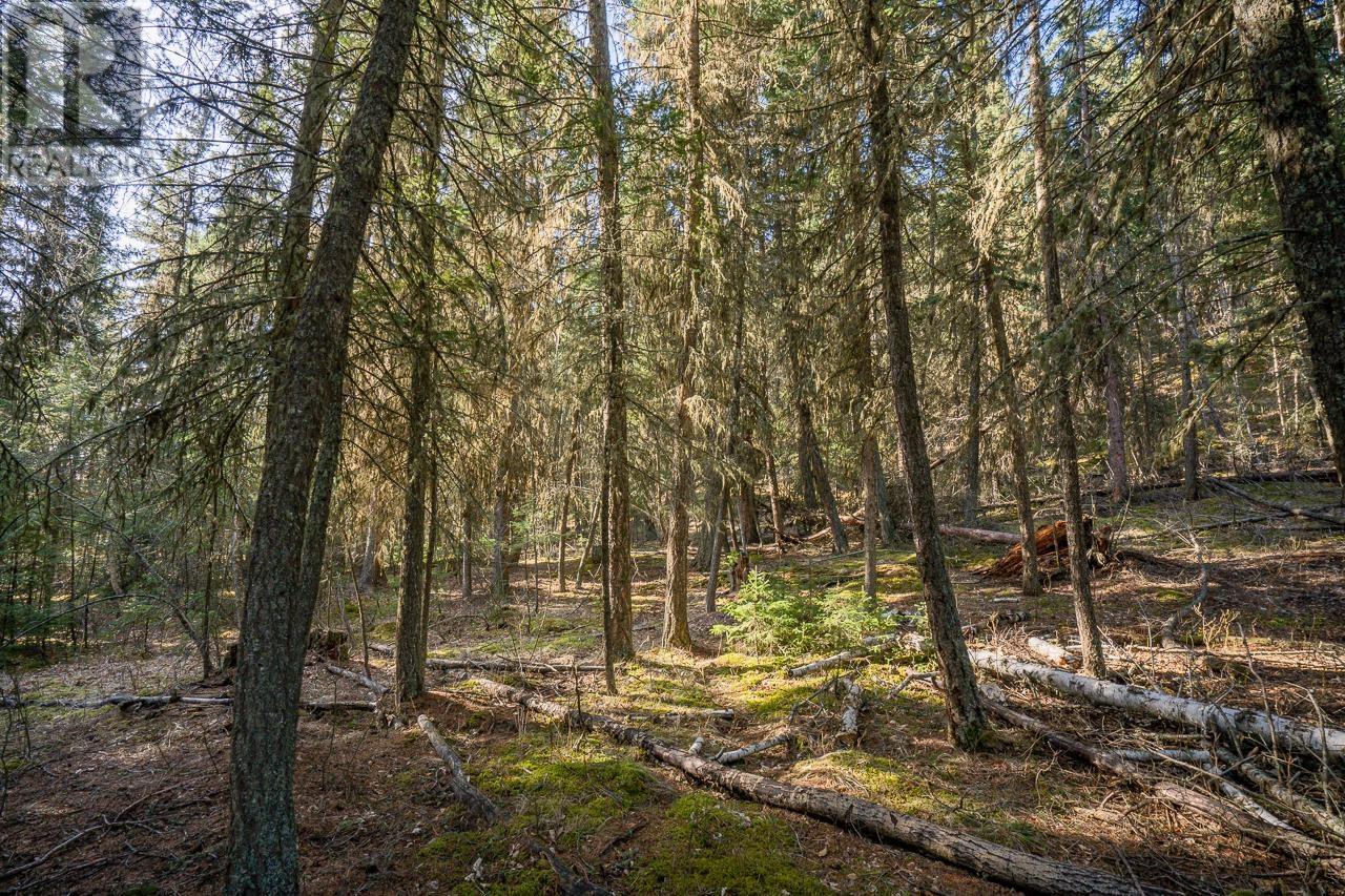 Lot 1 Thompson Road, 108 Mile Ranch, British Columbia  V0K 2Z0 - Photo 7 - R3011999