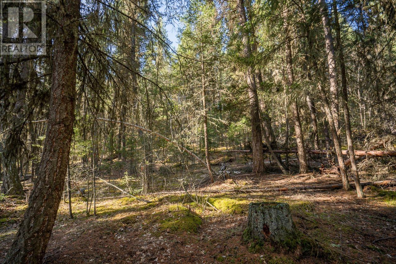 Lot 1 Thompson Road, 108 Mile Ranch, British Columbia  V0K 2Z0 - Photo 8 - R3011999