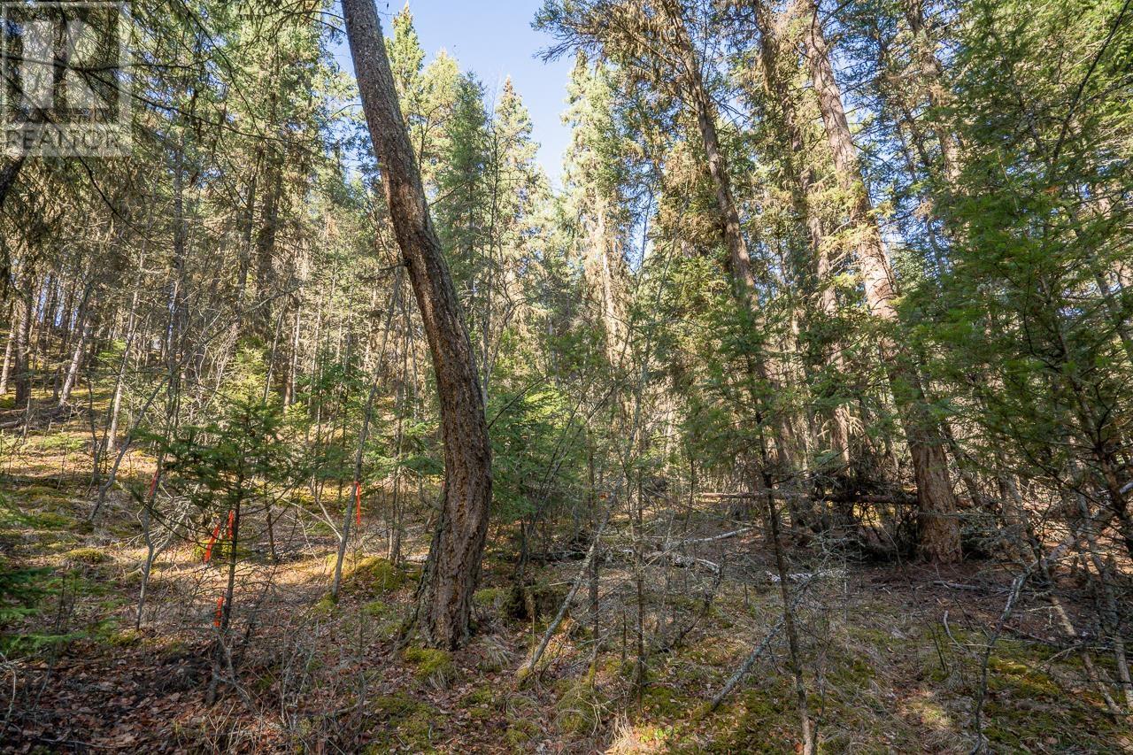 Lot 1 Thompson Road, 108 Mile Ranch, British Columbia  V0K 2Z0 - Photo 9 - R3011999