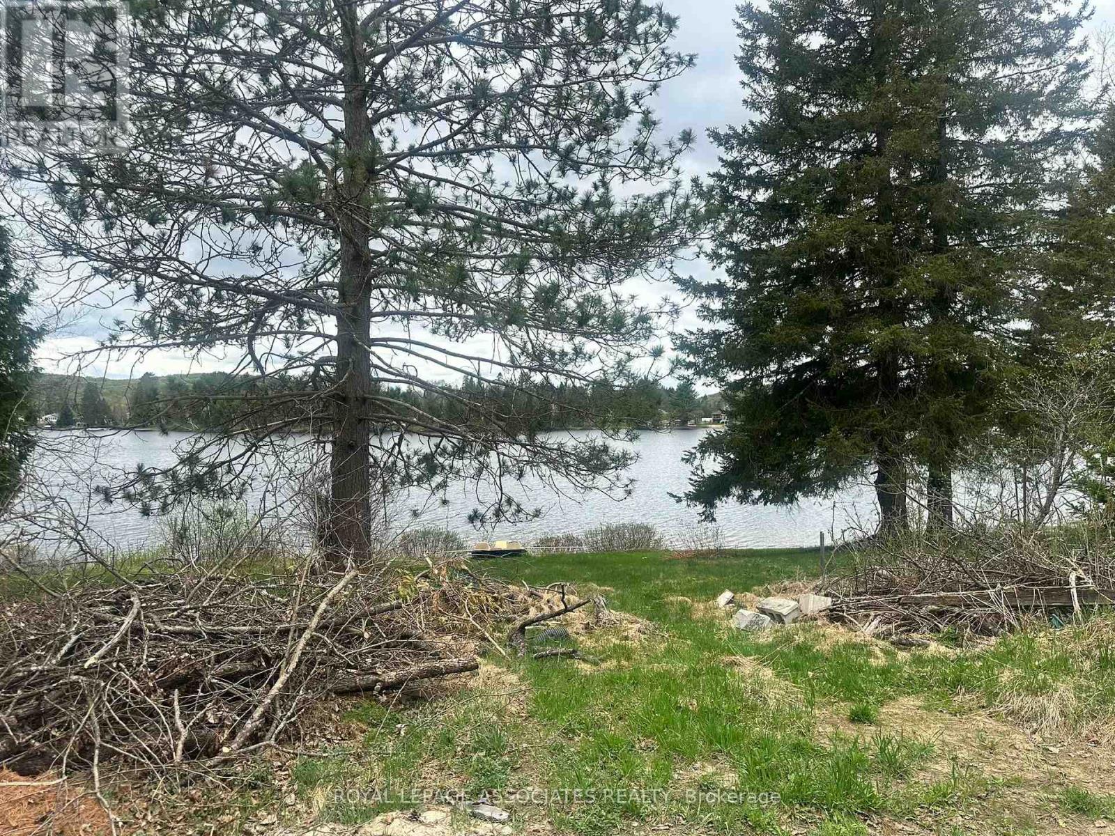 158 Lakeview Avenue, Kearney, Ontario  P0A 1M0 - Photo 3 - X12178892
