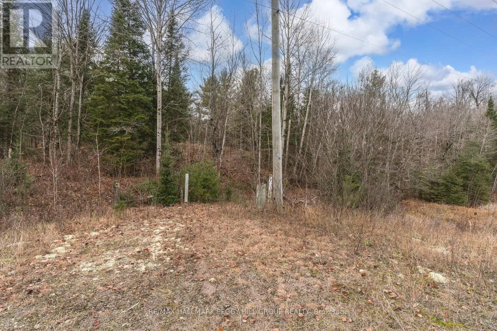 0 County Road 121, Minden Hills, Ontario  K0M 2A1 - Photo 4 - X12199852