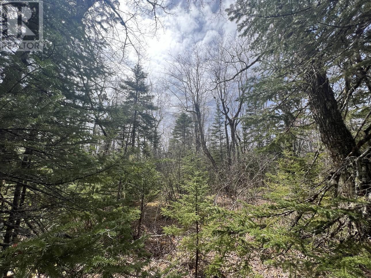 Lot Pid 70184155  Highway 210, Middlefield, Nova Scotia  B0T 1E0 - Photo 3 - 202513596