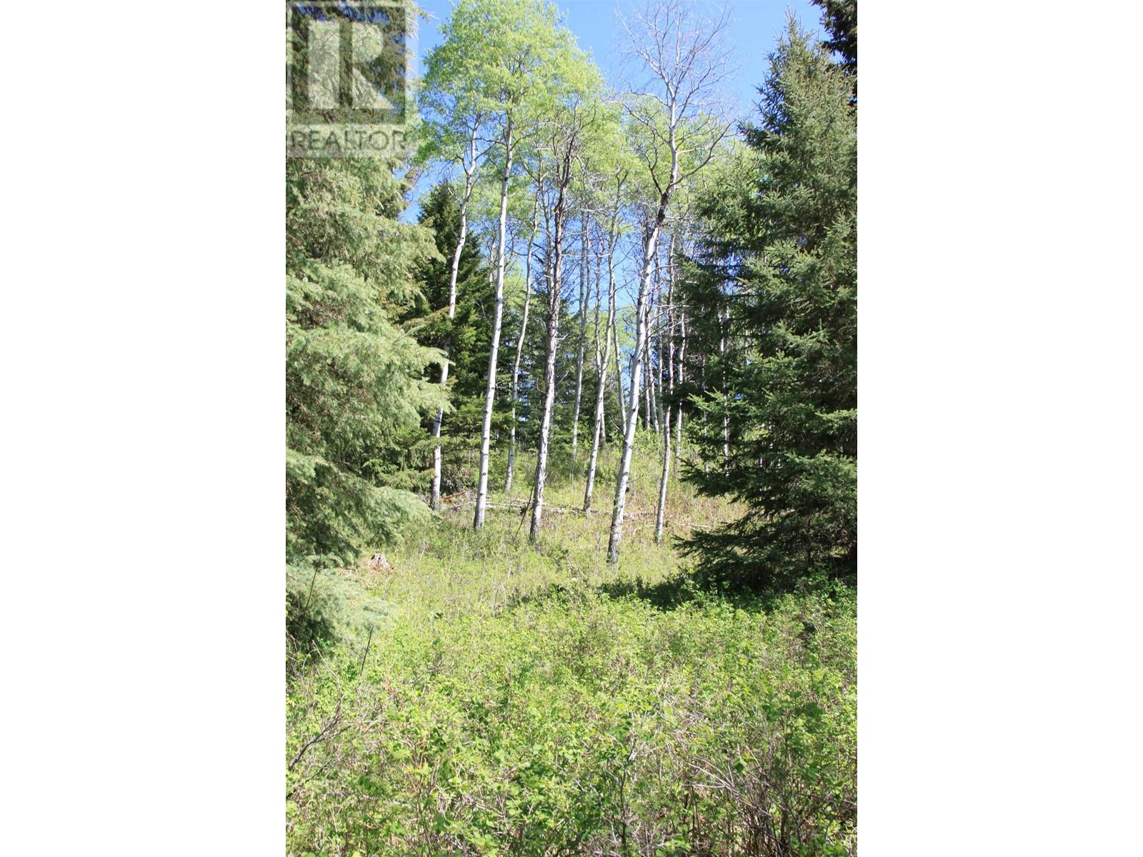 Prop Lot 21 Brown Road, Bridge Lake, British Columbia  V0K 1E0 - Photo 22 - R3011906