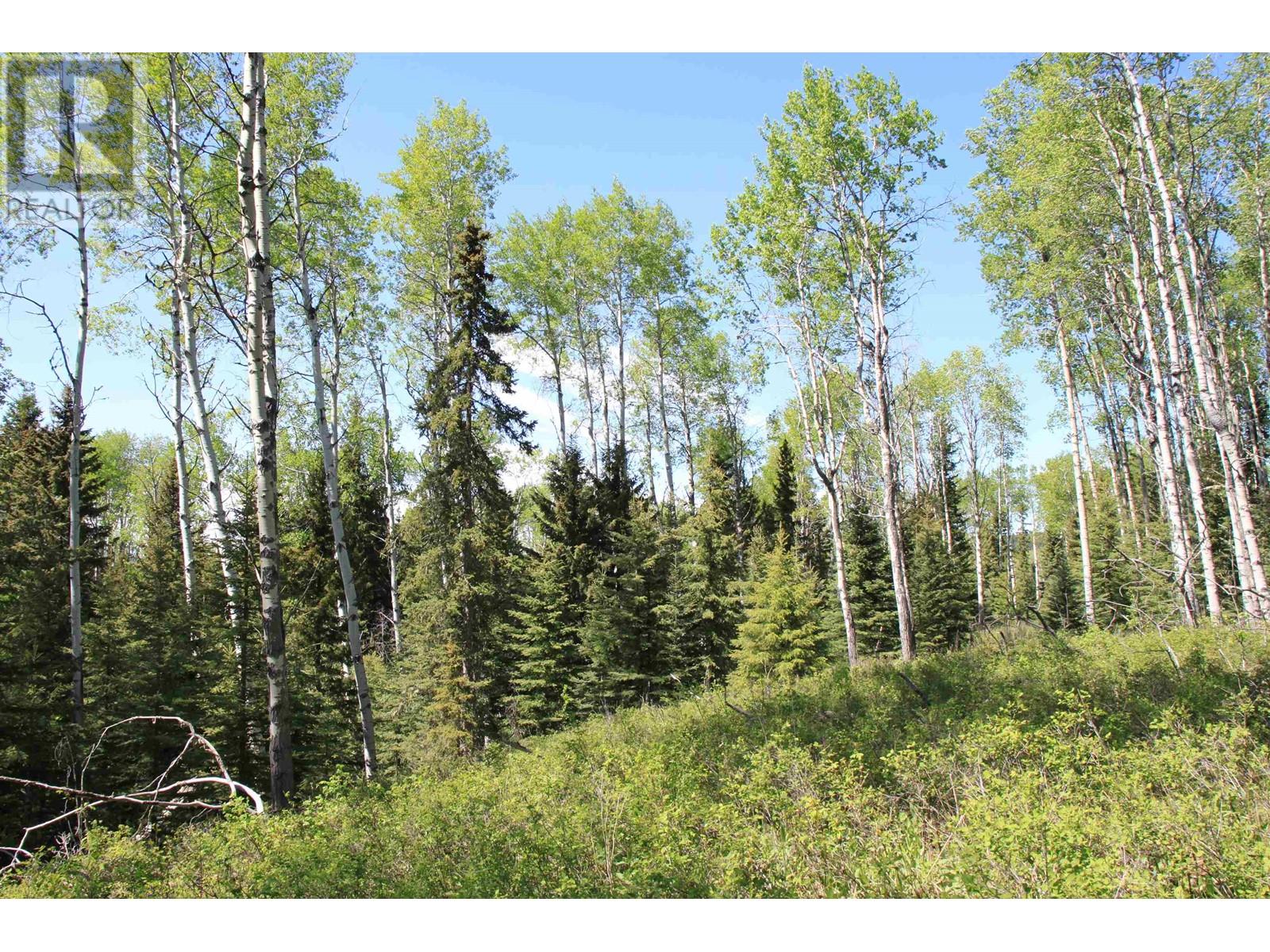 Prop Lot 21 Brown Road, Bridge Lake, British Columbia  V0K 1E0 - Photo 21 - R3011906