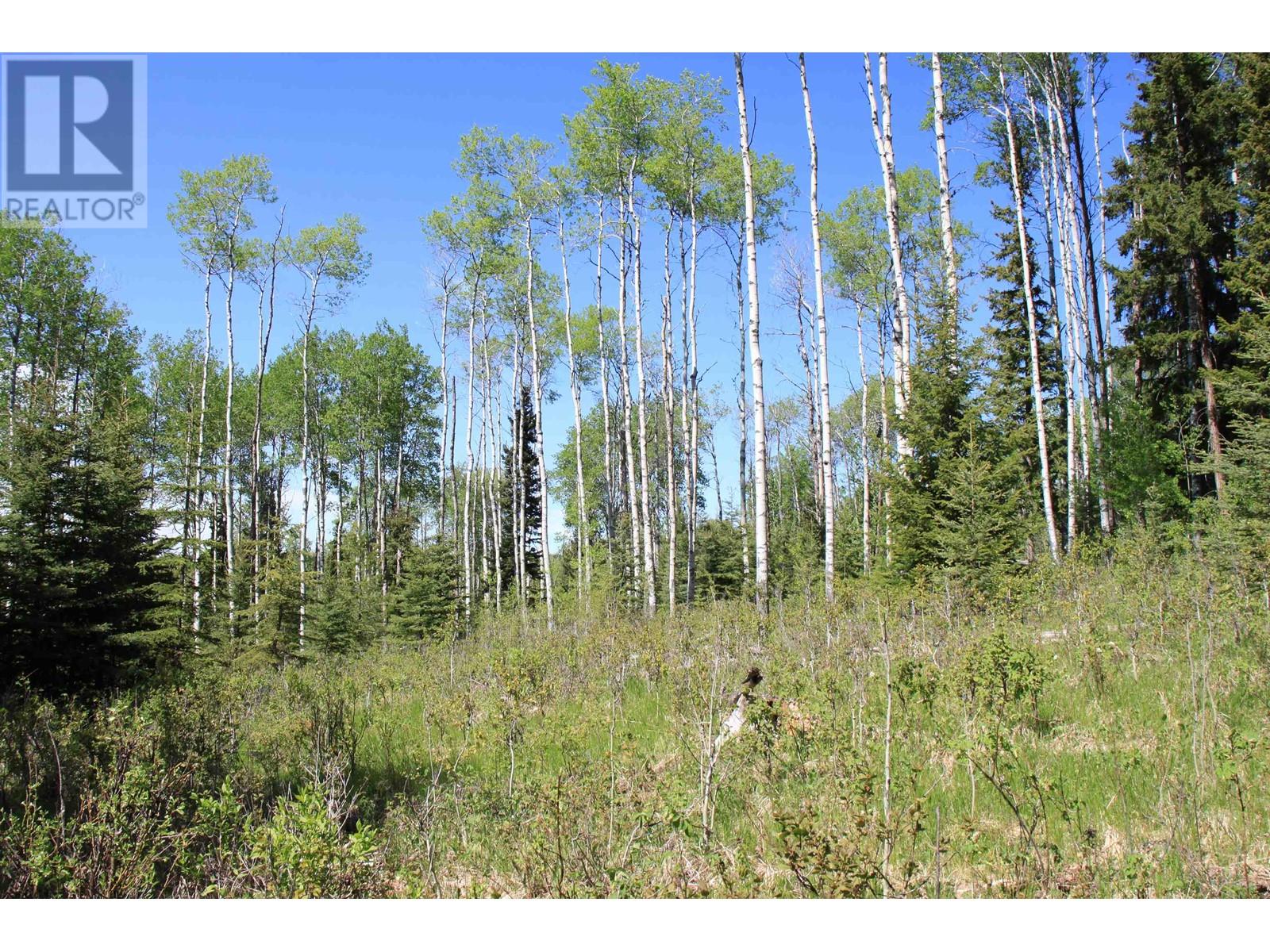Prop Lot 21 Brown Road, Bridge Lake, British Columbia  V0K 1E0 - Photo 4 - R3011906