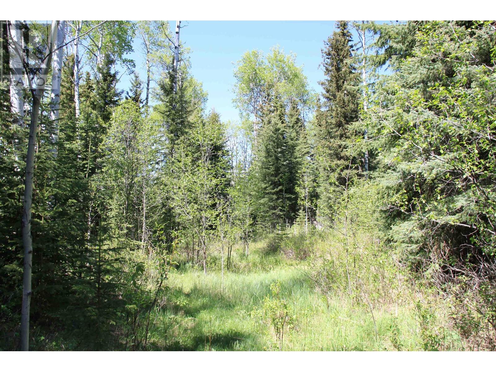Prop Lot 21 Brown Road, Bridge Lake, British Columbia  V0K 1E0 - Photo 15 - R3011906