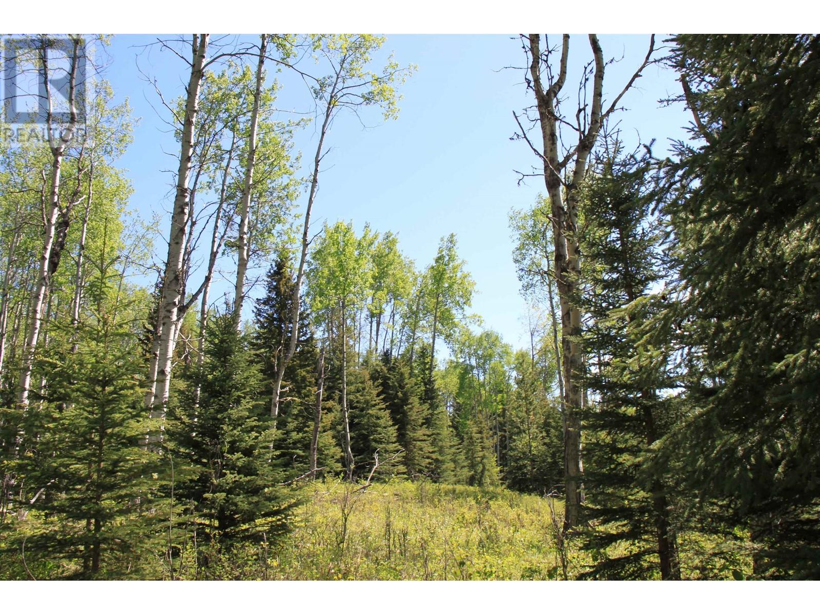 Prop Lot 21 Brown Road, Bridge Lake, British Columbia  V0K 1E0 - Photo 19 - R3011906