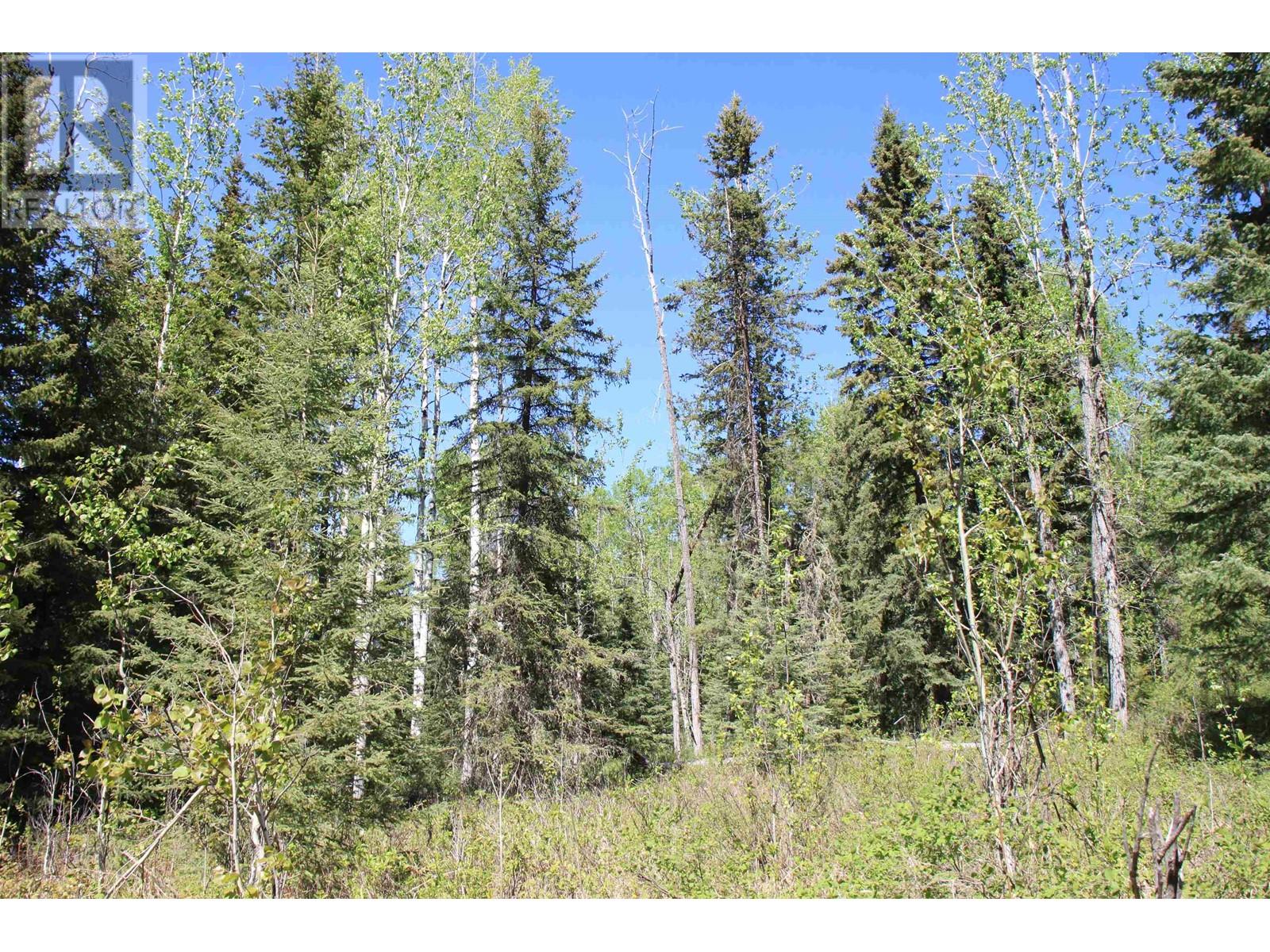 Prop Lot 21 Brown Road, Bridge Lake, British Columbia  V0K 1E0 - Photo 23 - R3011906