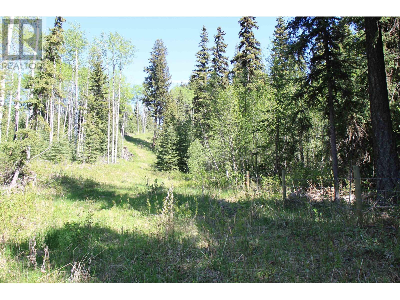 Prop Lot 21 Brown Road, Bridge Lake, British Columbia  V0K 1E0 - Photo 5 - R3011906