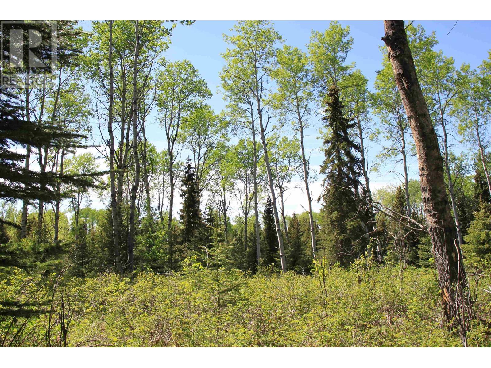 Prop Lot 21 Brown Road, Bridge Lake, British Columbia  V0K 1E0 - Photo 20 - R3011906