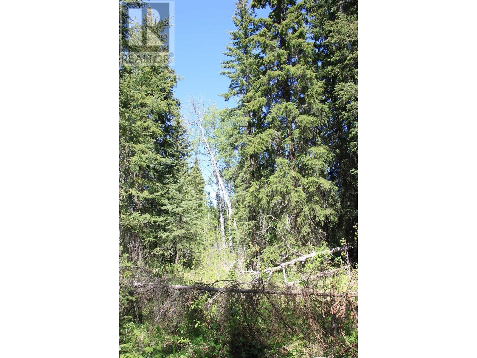 Prop Lot 21 Brown Road, Bridge Lake, British Columbia  V0K 1E0 - Photo 13 - R3011906