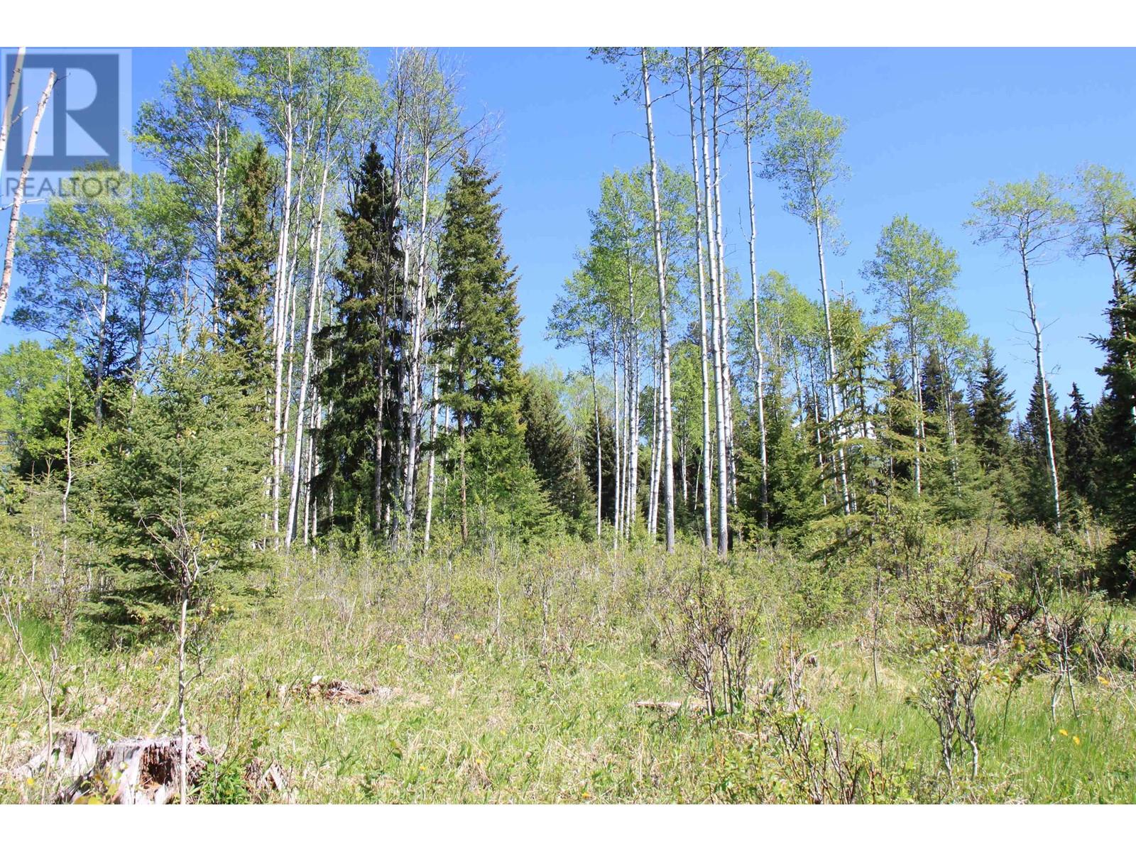 Prop Lot 21 Brown Road, Bridge Lake, British Columbia  V0K 1E0 - Photo 1 - R3011906