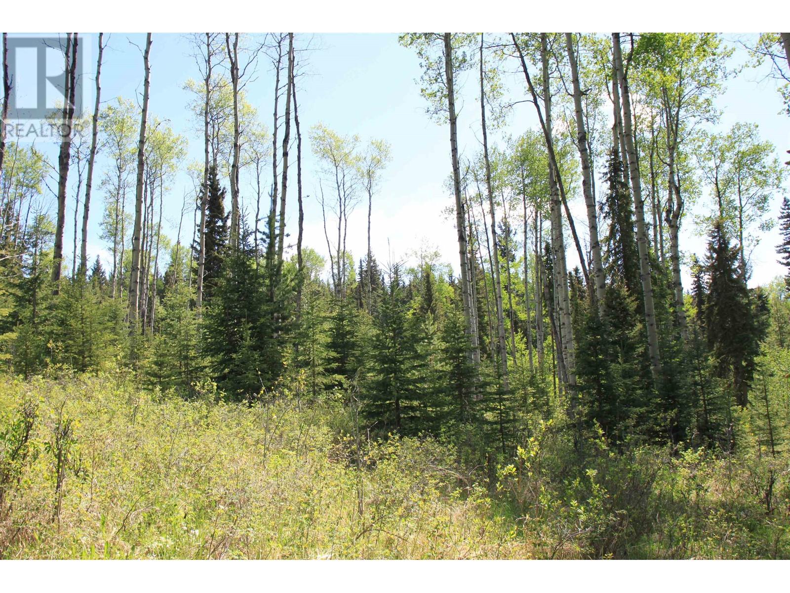 Prop Lot 21 Brown Road, Bridge Lake, British Columbia  V0K 1E0 - Photo 24 - R3011906