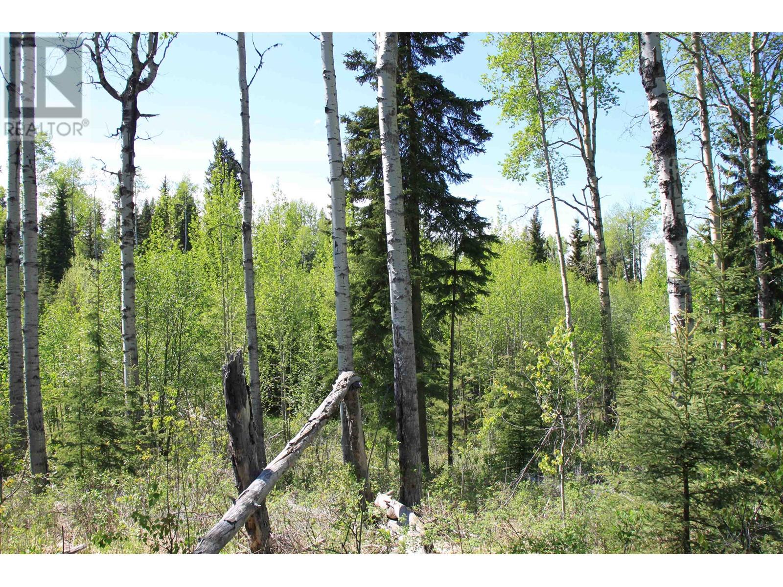 Prop Lot 21 Brown Road, Bridge Lake, British Columbia  V0K 1E0 - Photo 26 - R3011906
