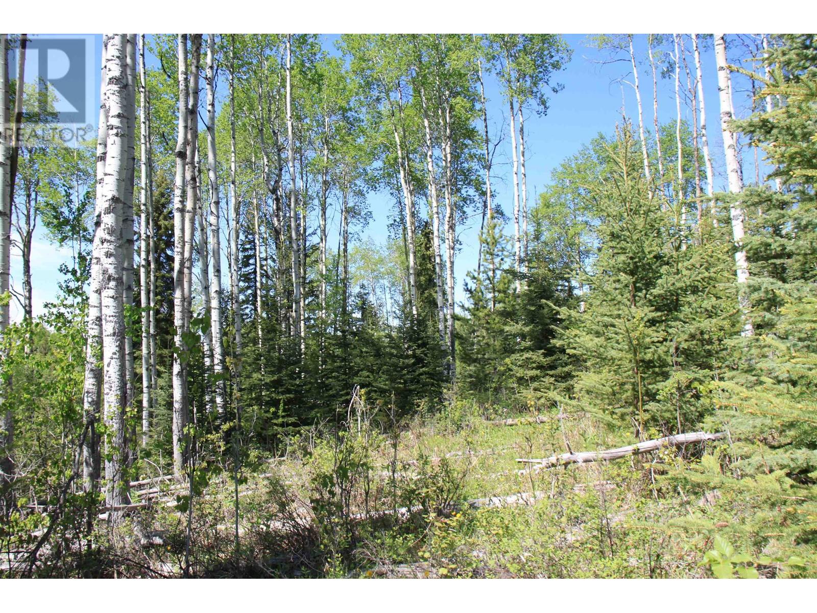 Prop Lot 21 Brown Road, Bridge Lake, British Columbia  V0K 1E0 - Photo 28 - R3011906