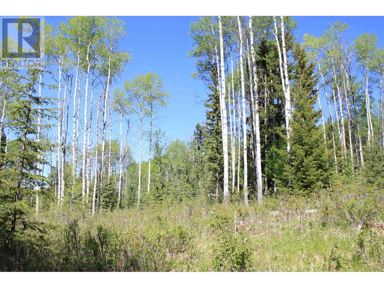Prop Lot 21 Brown Road, Bridge Lake, British Columbia  V0K 1E0 - Photo 3 - R3011906