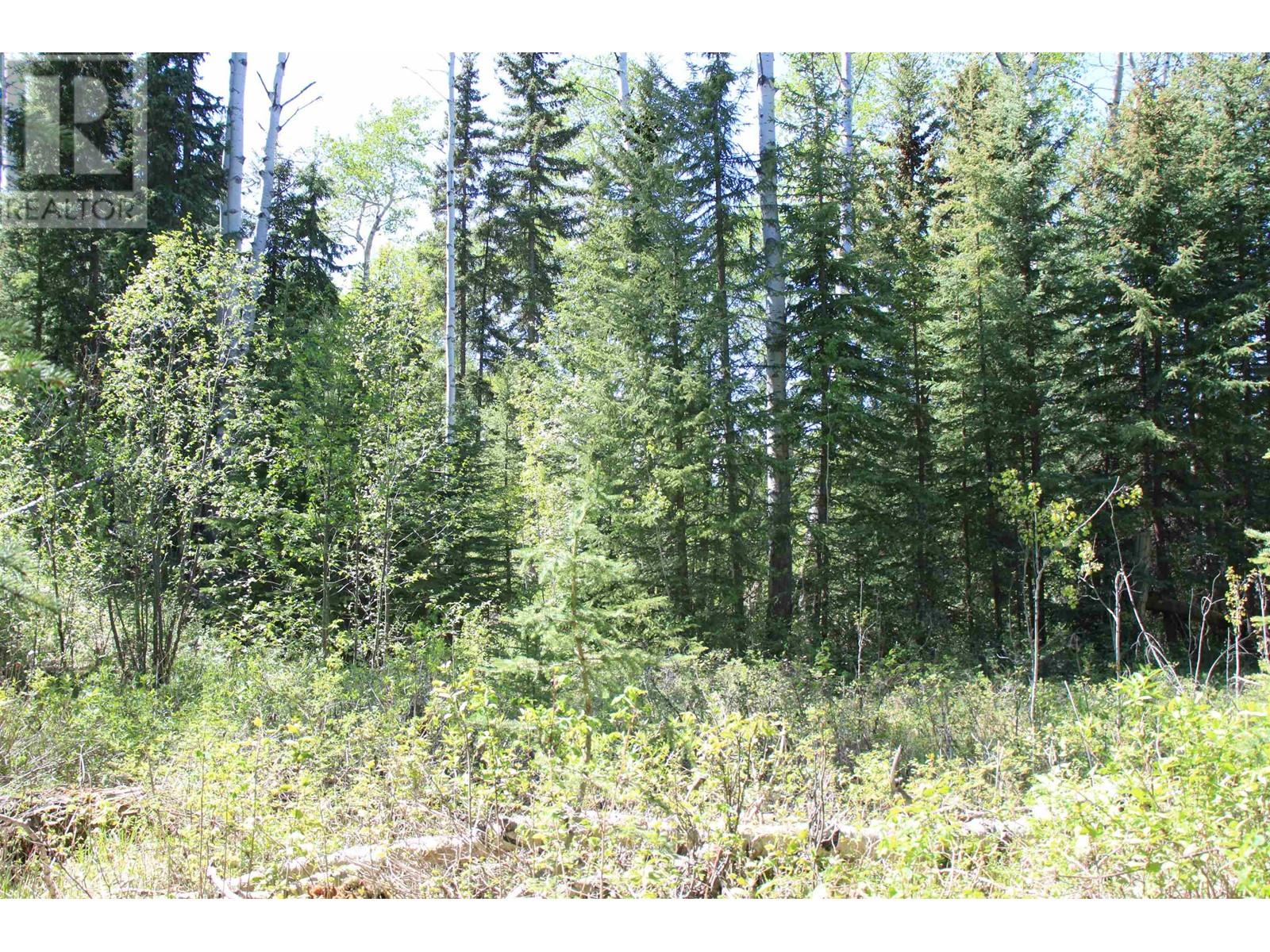 Prop Lot 21 Brown Road, Bridge Lake, British Columbia  V0K 1E0 - Photo 14 - R3011906