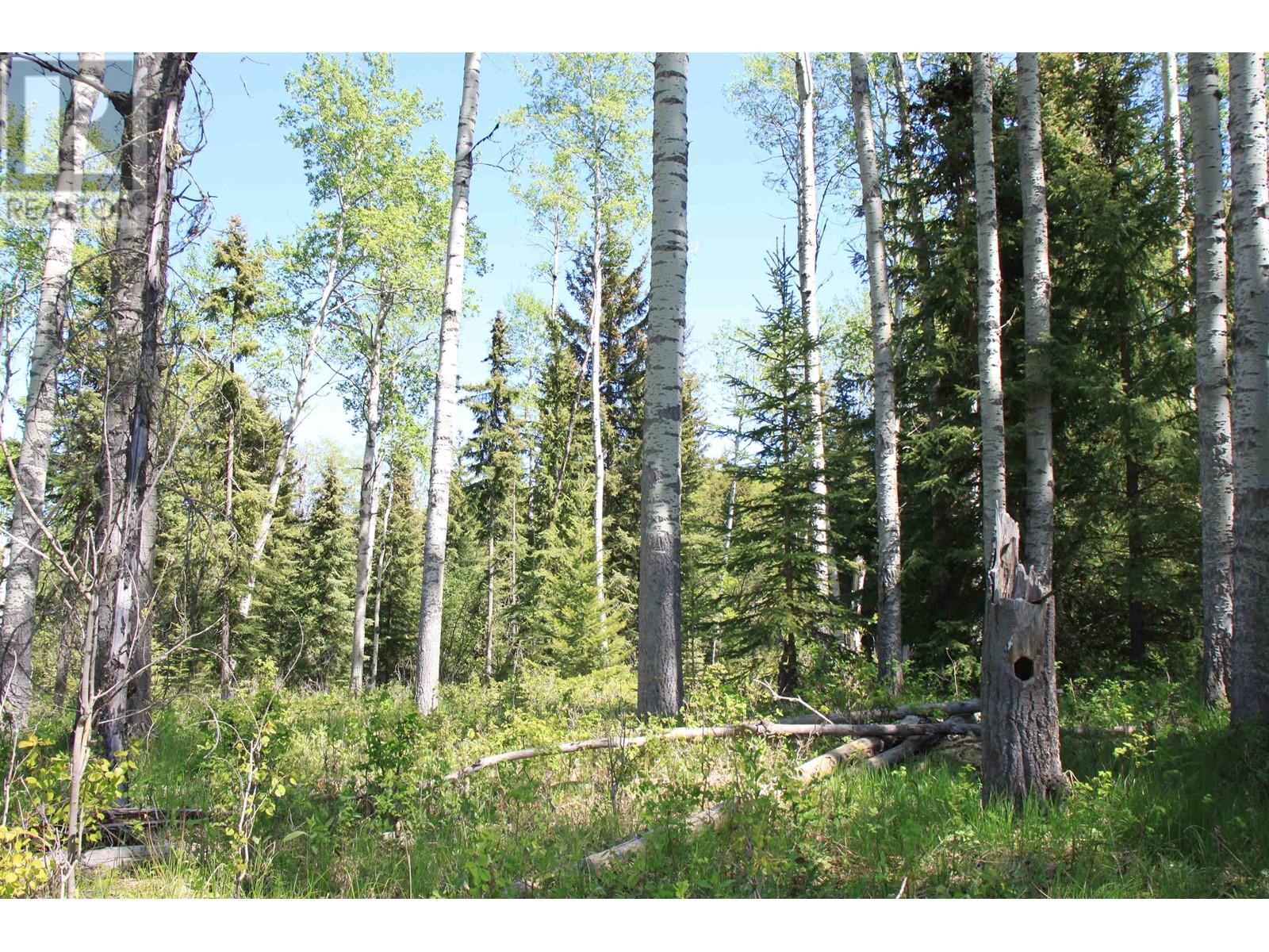 Prop Lot 21 Brown Road, Bridge Lake, British Columbia  V0K 1E0 - Photo 18 - R3011906