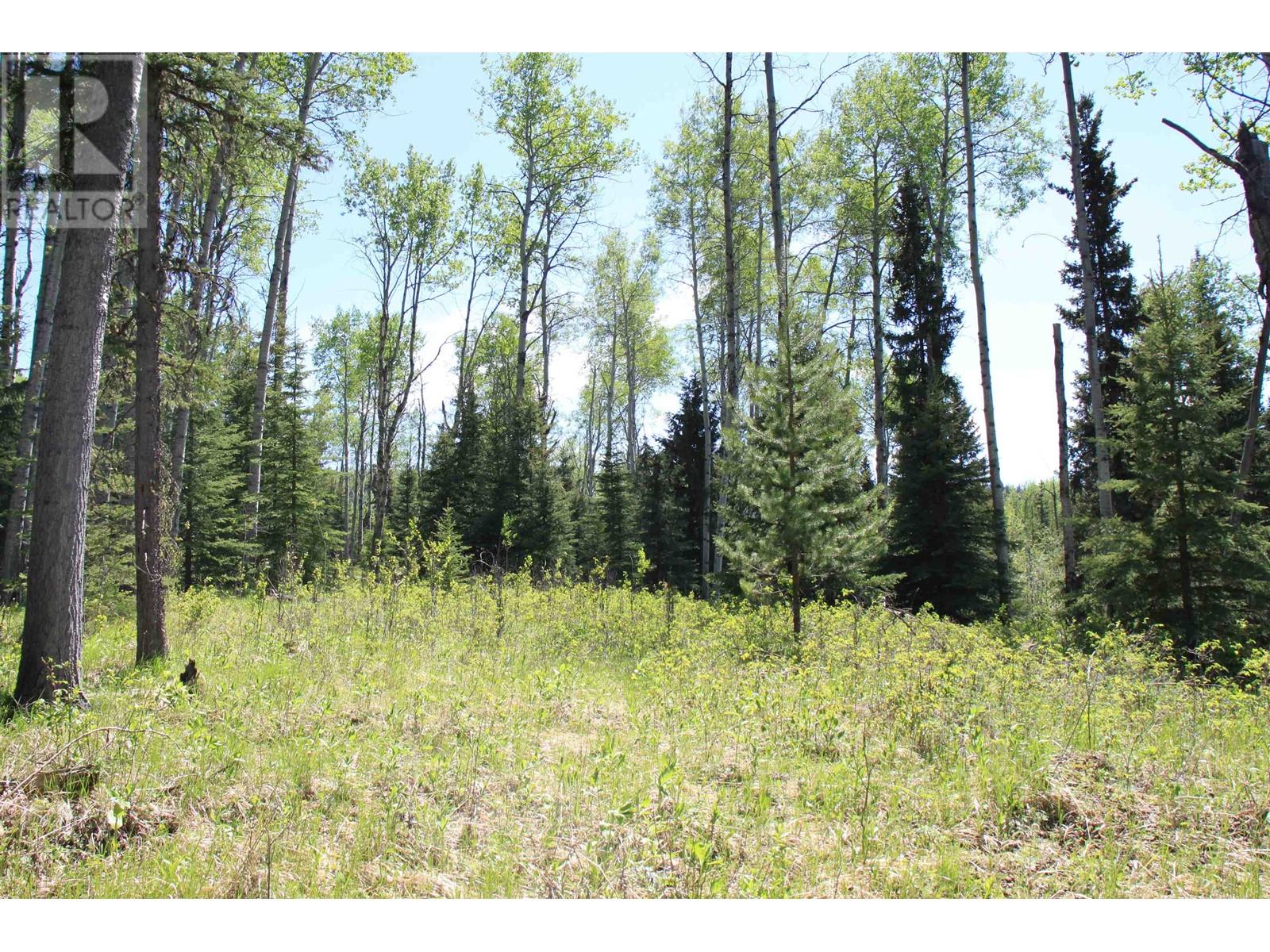 Prop Lot 21 Brown Road, Bridge Lake, British Columbia  V0K 1E0 - Photo 16 - R3011906