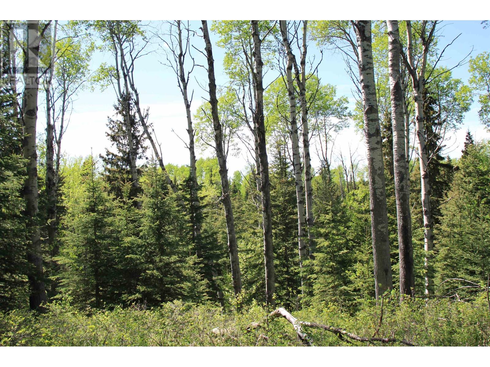 Prop Lot 21 Brown Road, Bridge Lake, British Columbia  V0K 1E0 - Photo 29 - R3011906