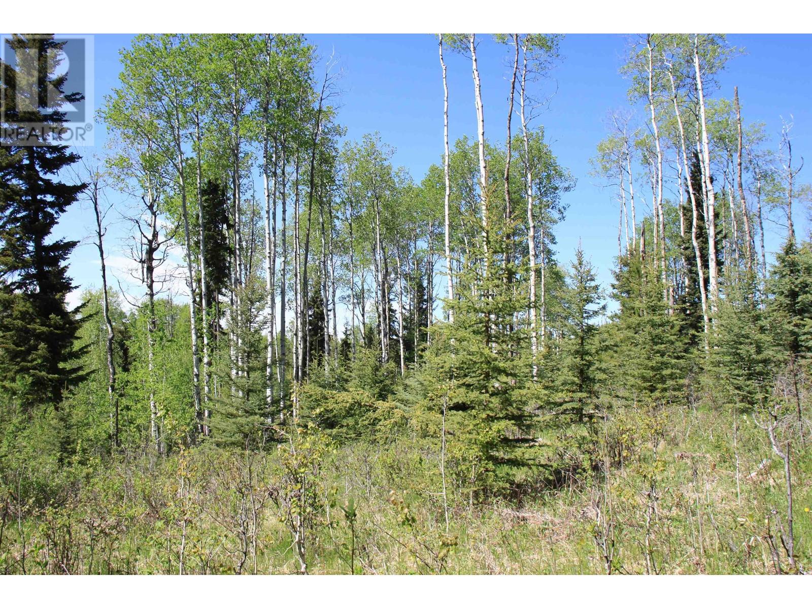 Prop Lot 21 Brown Road, Bridge Lake, British Columbia  V0K 1E0 - Photo 2 - R3011906