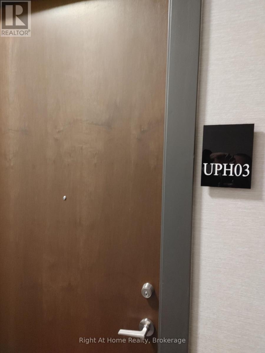 Uph03 - 38 Iannuzzi Street, Toronto, Ontario  M5V 0S2 - Photo 28 - C12200161