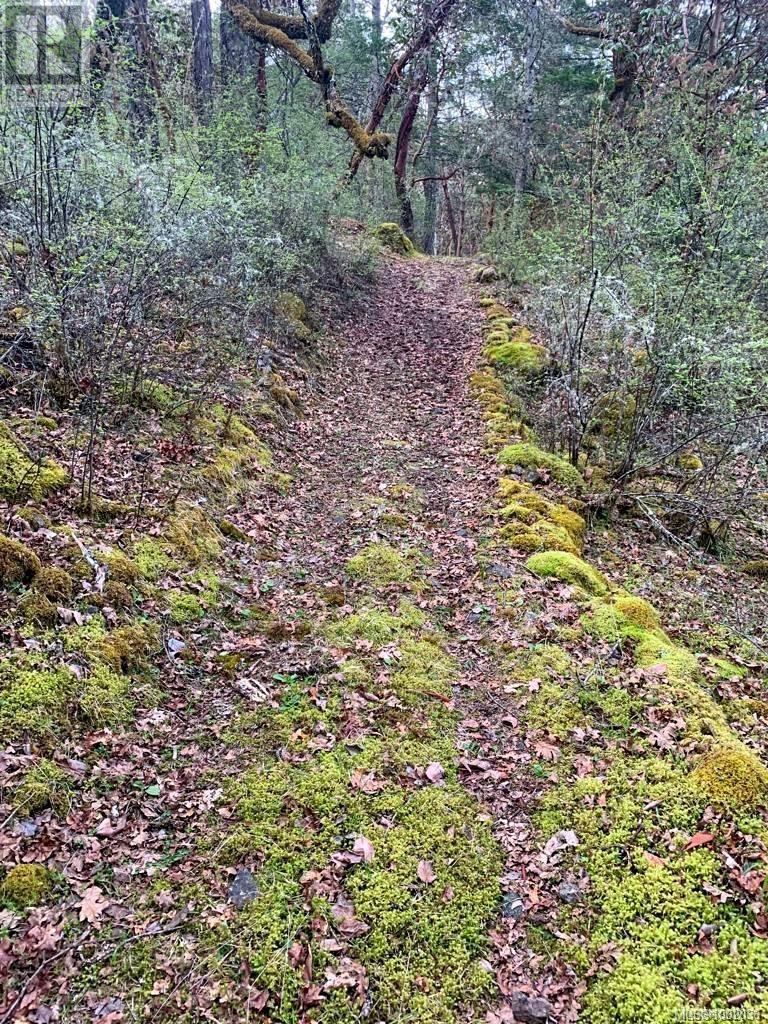 3975 Munn Rd, Highlands, British Columbia  V9E 1C8 - Photo 20 - 1002036