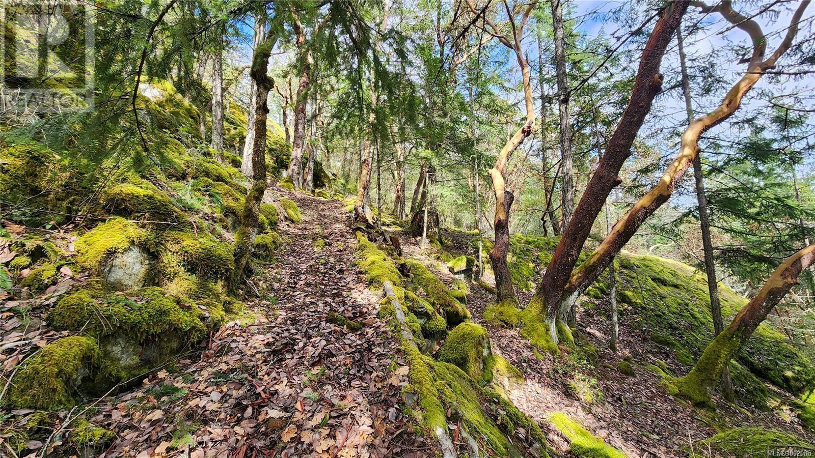 3975 Munn Rd, Highlands, British Columbia  V9E 1C8 - Photo 21 - 1002036