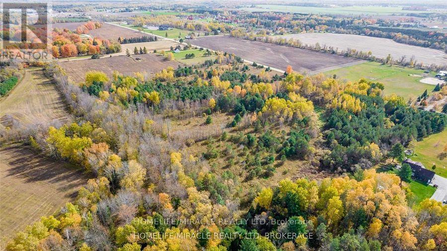 6030 30th Sdrd Essa, Essa, Ontario  L0M 1T0 - Photo 7 - N12200212