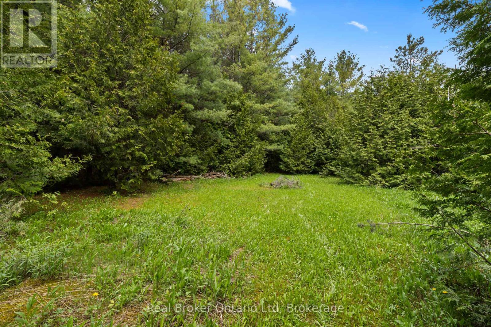 0 Pt Lt 70 Con 2 Concession, Chatsworth, Ontario  N0C 1H0 - Photo 7 - X12200298