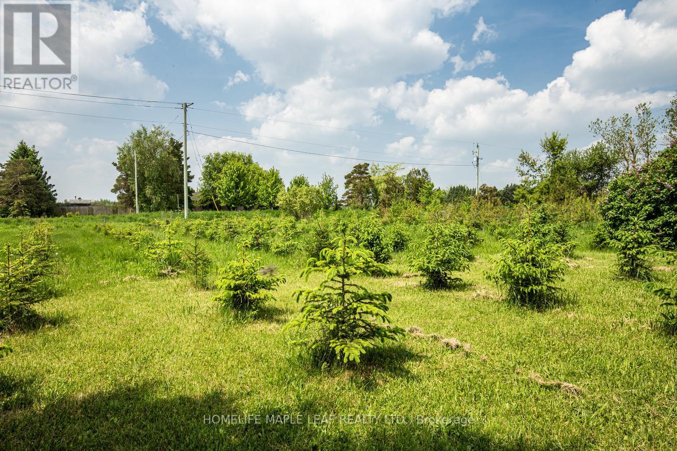 64149 County Road 3, East Garafraxa, Ontario  L9W 7J4 - Photo 45 - X12200230