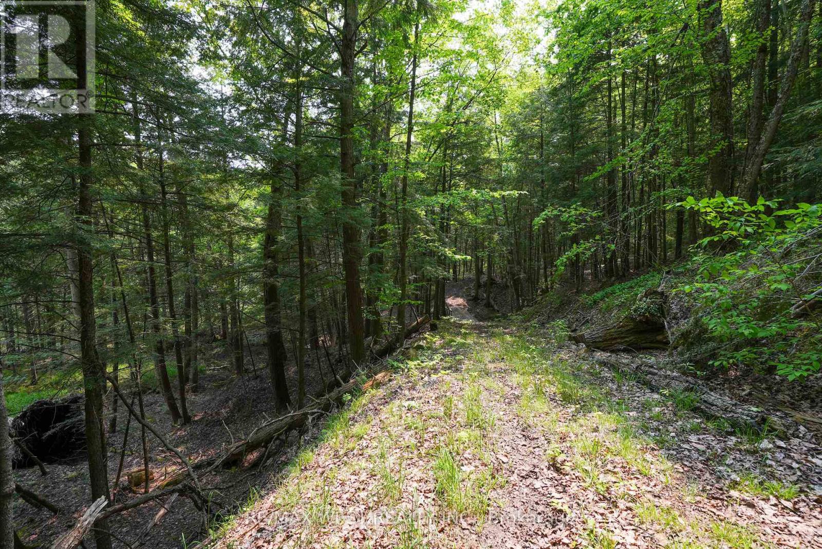 741 Ingram Road, Oro-Medonte, Ontario  L0K 1E0 - Photo 17 - S12200247