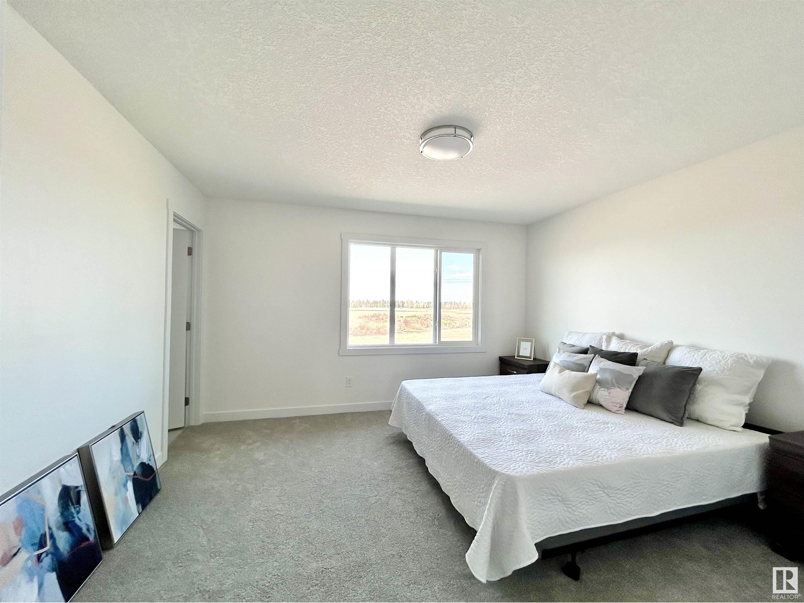 19706 29 Av Nw, Edmonton, Alberta  T6M 1M2 - Photo 10 - E4440645