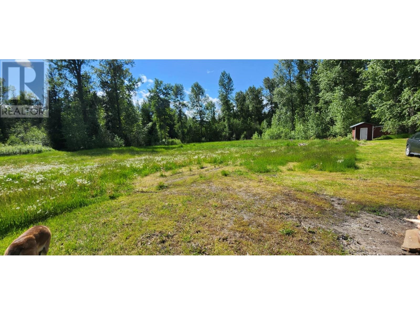 1666 Trinity Valley Road, Lumby, British Columbia  V0E 2G4 - Photo 10 - 10350977