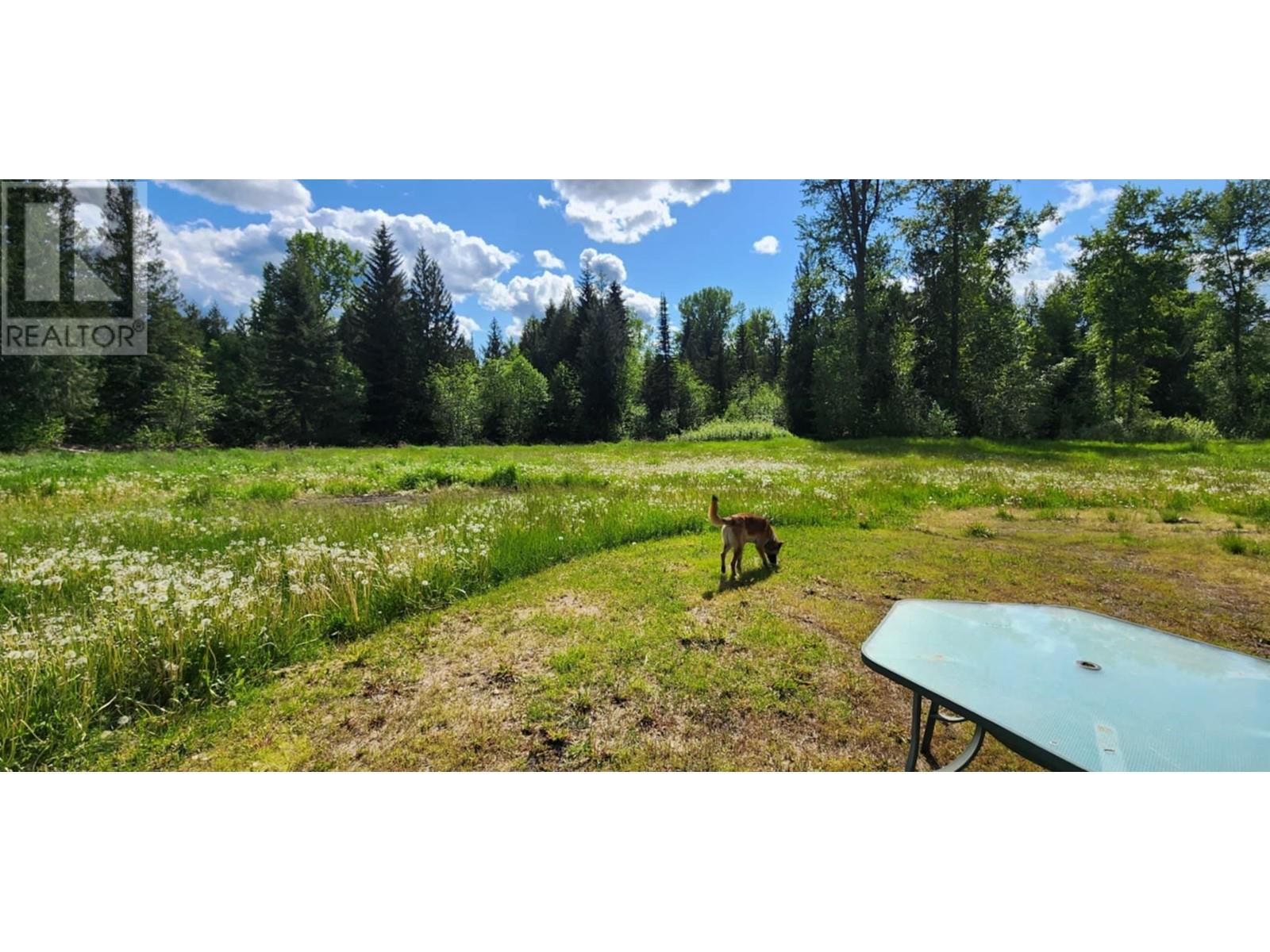 1666 Trinity Valley Road, Lumby, British Columbia  V0E 2G4 - Photo 12 - 10350977