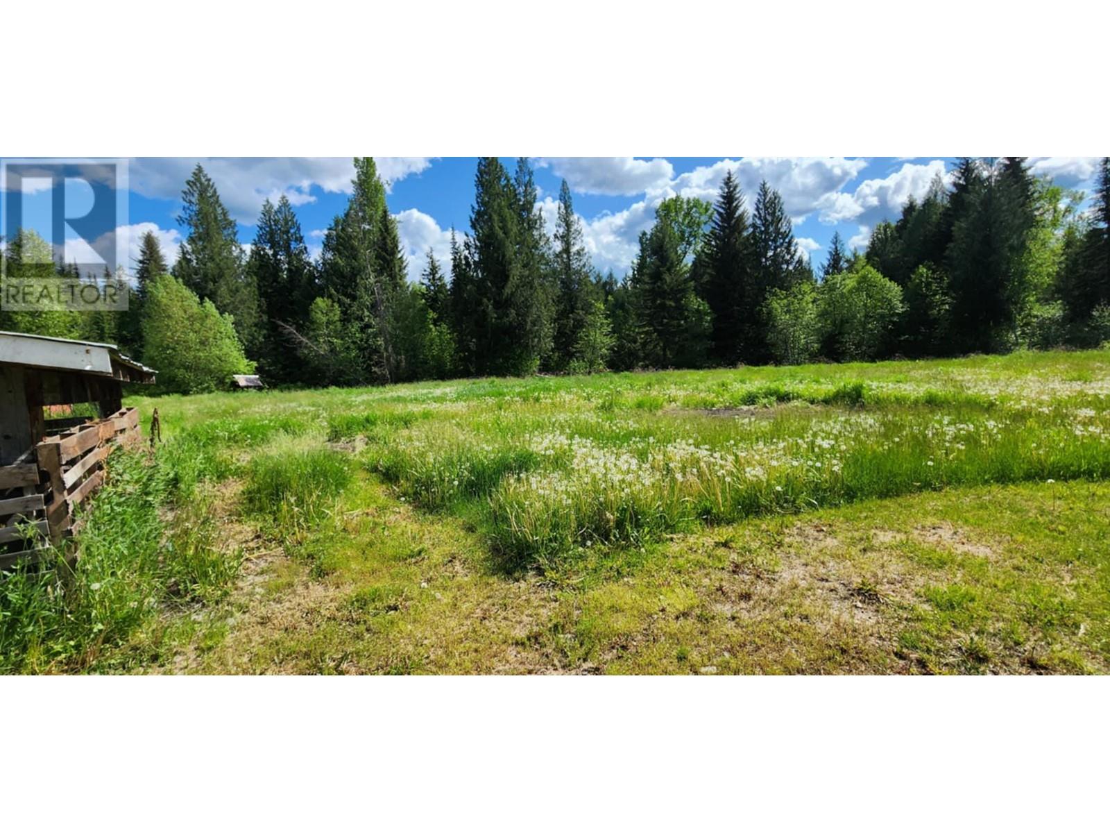 1666 Trinity Valley Road, Lumby, British Columbia  V0E 2G4 - Photo 19 - 10350977