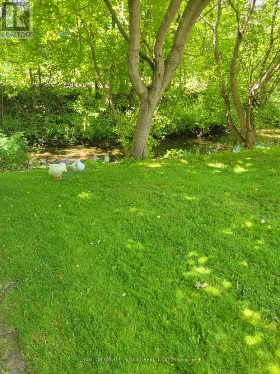 239 Main Street, King (Schomberg), Ontario  L0G 1T0 - Photo 27 - N12196715