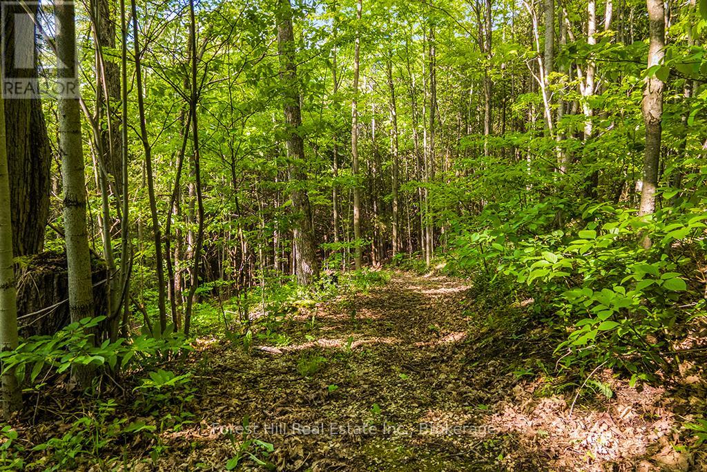 447151 10th Concession, Grey Highlands, Ontario  N0C 1E0 - Photo 48 - X12200475