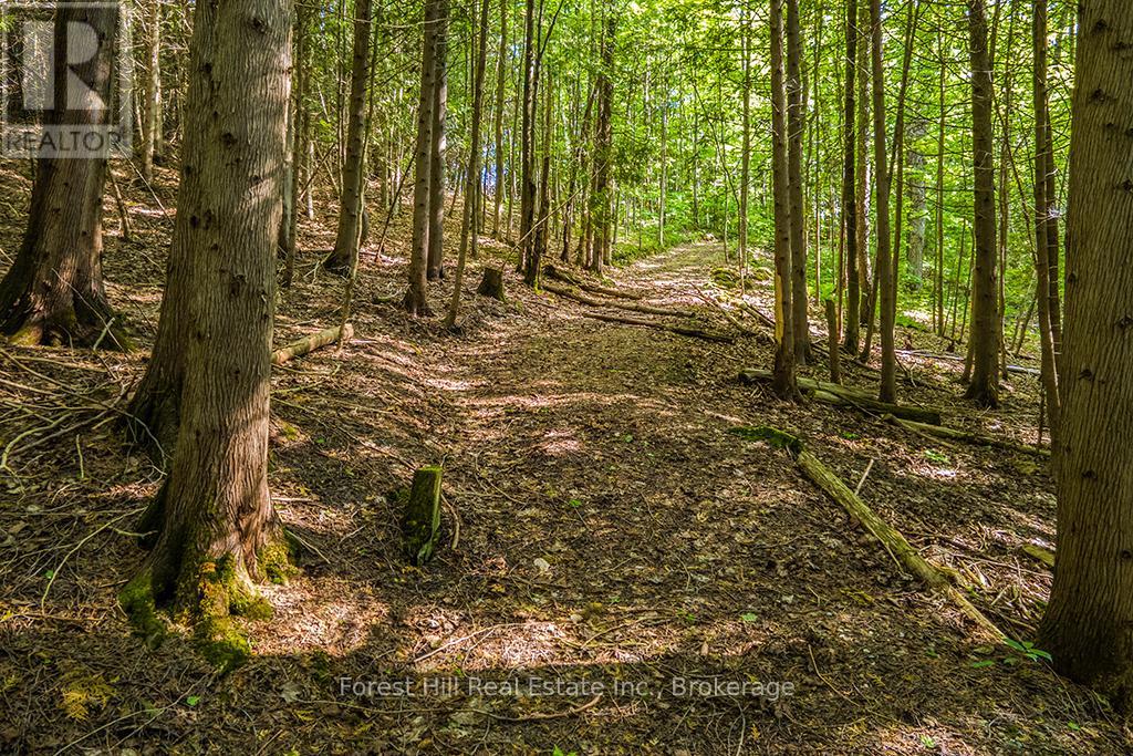 447151 10th Concession, Grey Highlands, Ontario  N0C 1E0 - Photo 49 - X12200475