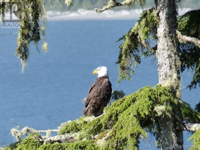 222 6596 Baird Rd, Port Renfrew, British Columbia  V0S 1K0 - Photo 28 - 1002103