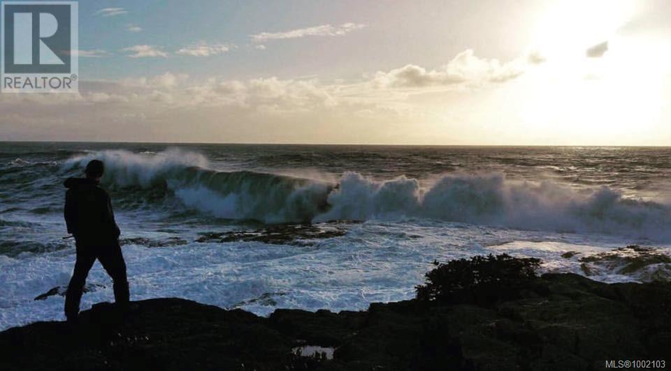 222 6596 Baird Rd, Port Renfrew, British Columbia  V0S 1K0 - Photo 30 - 1002103